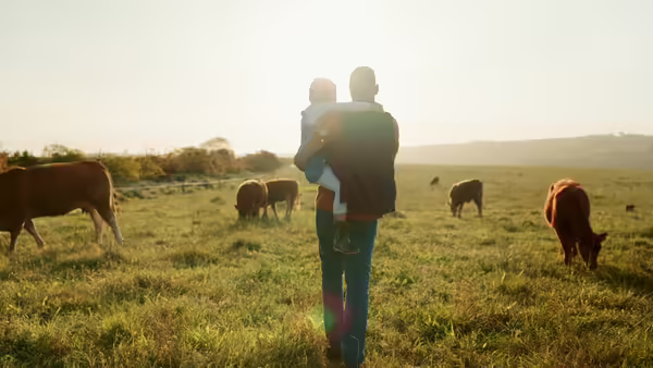 A farmer holding a child while walking through a field with cattle grazing.