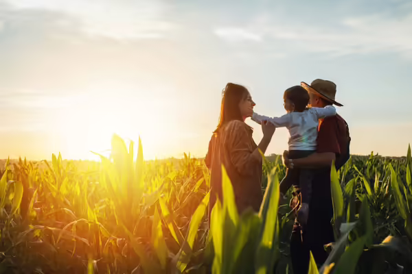 Family standing in corn field and looking at sun rise