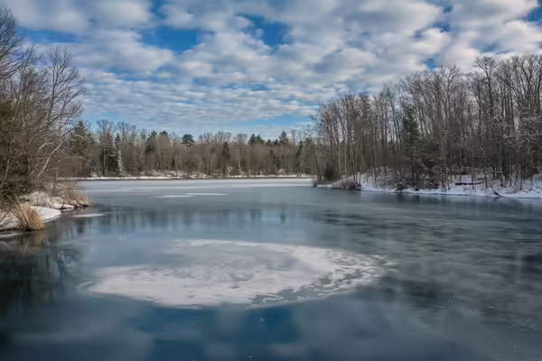 icy pond surrounded by dormant trees