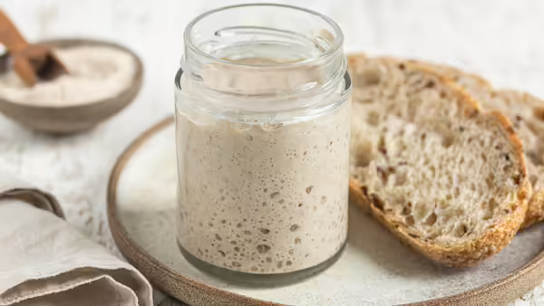 Jar of sourdough and piece of bread on plate