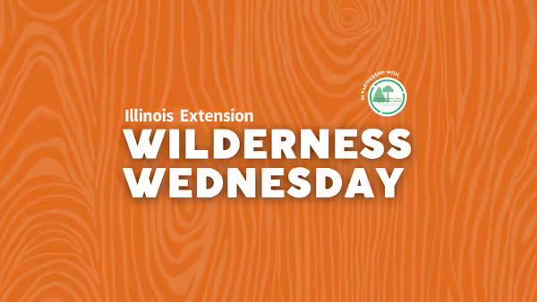 Wilderness Wednesday