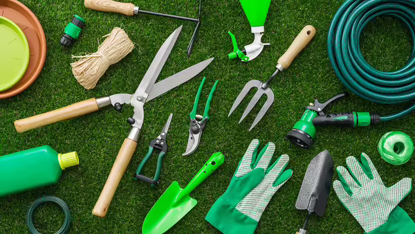 an assortment of garden tools on green grass