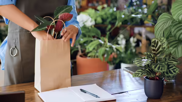 lady putting plant in bag at plant sale