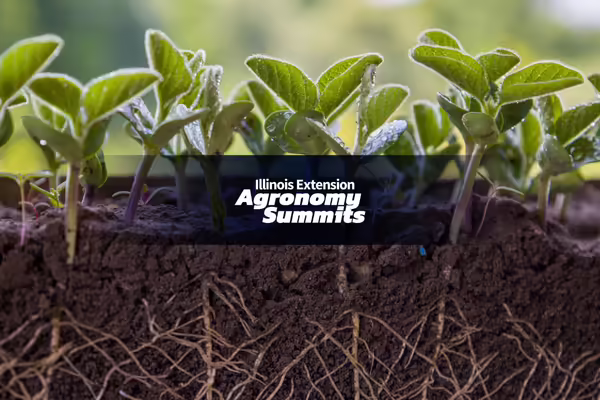 close-up of sprouting plants, soil, and roots with text "Illinois Extension Agronomy Summits"