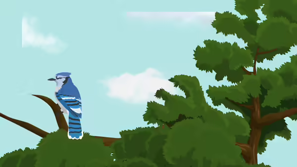 A blue bird sitting on a tree branch looking to the right.