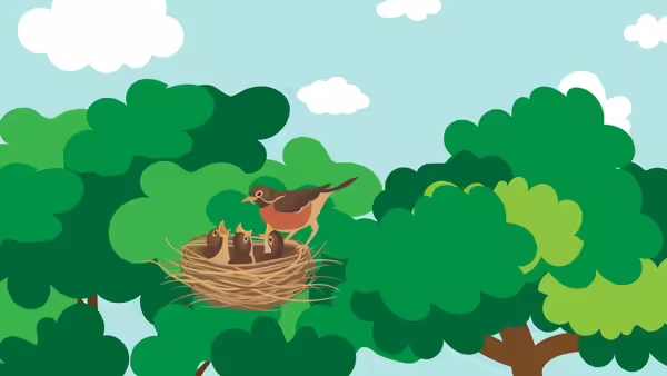 A mother bird feeding her three baby birds in a bird's nest. 