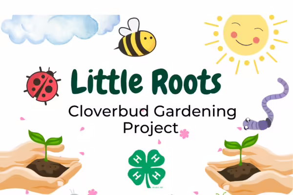 Little Roots Cloverbud Gardening Project