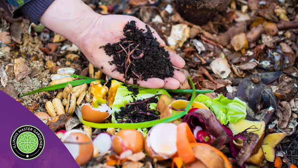 Worms over a compost pile