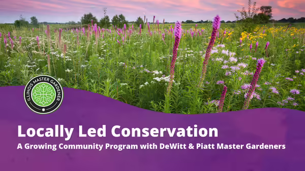 Locally Led Conservation with Piatt County SWCD text over a purple background with a grass prairie pictured in the background