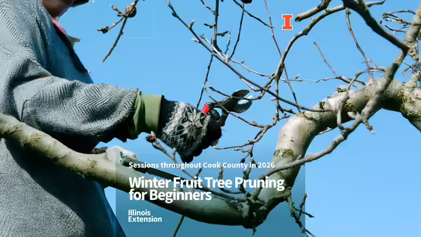 winter scene of gloved hand with pruners and tree branches