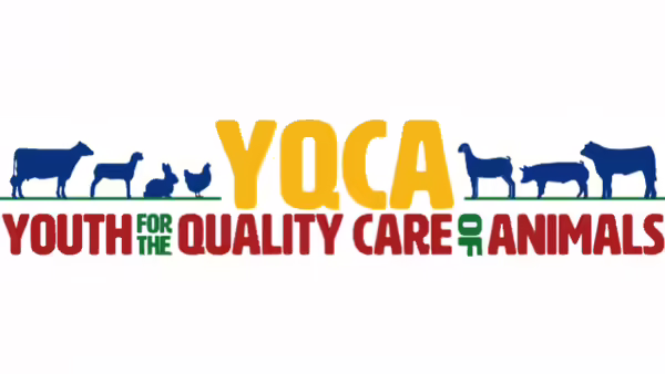 Youth for the Quality Care of Animals 