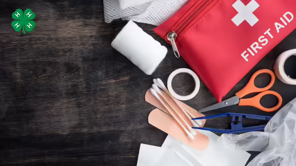 First aid kit displayed on a wooden background. A green 4-H clover in the upper left corner.