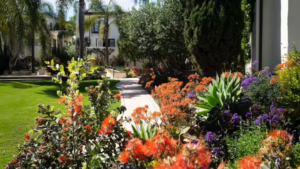 native plant landscaping in front of a house 