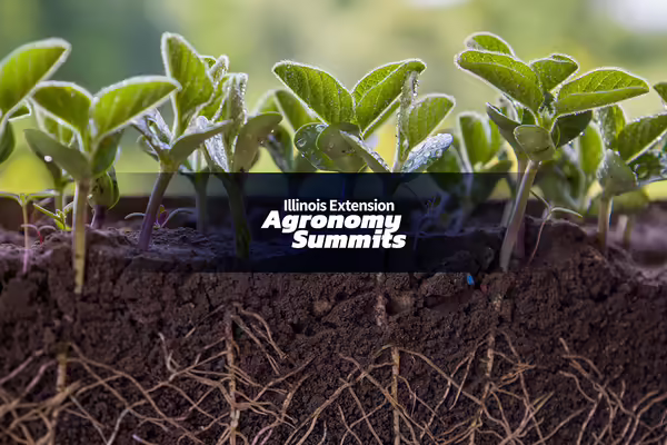 "Illinois Extension Agronomy Summits" in front of sprouts growing in dirt