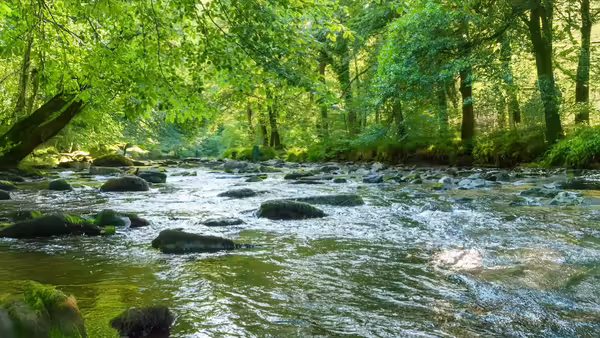 water flowing over river rock