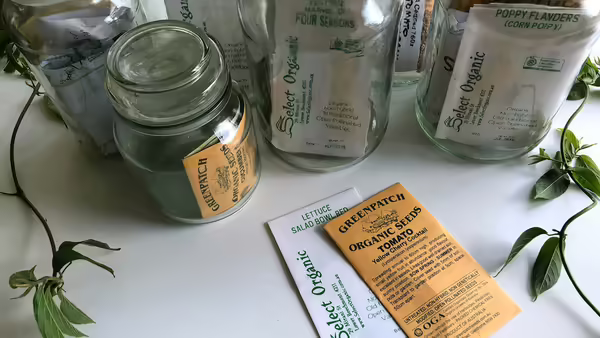 Garden seeds in jars and envelopes