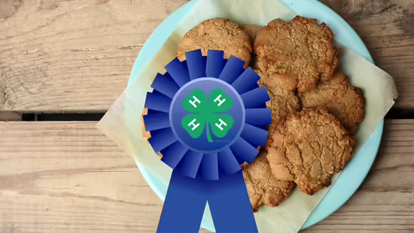 4-H clover on a blue ribbon in front of a plate of cookies