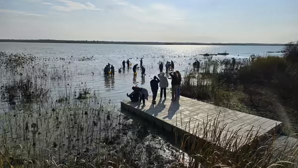 people in the Emiquon