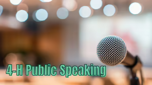 Microphone with blurred background