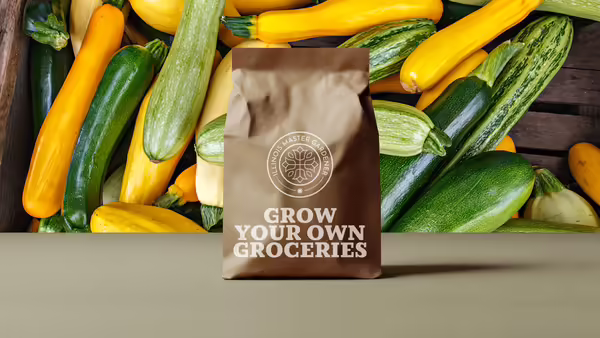 Grow your own groceries, summer squash