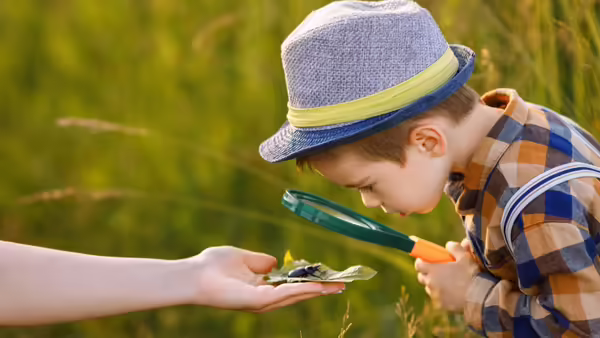 A boy looks through a magnifying glass at a bug on a leaf 