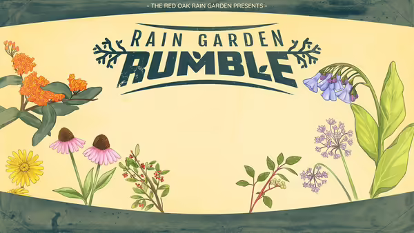 An illustration of native flowers and plants on a yellow background with the text Rain Garden Rumble
