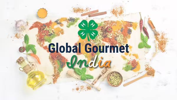 A map of the world created from a variety of spices from different countries.