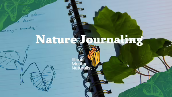 notebook with drawing of plant