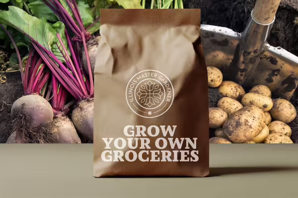 Grow your own groceries