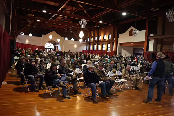 A fancy room filled with people sitting in rows of chairs with an auctioneer taking bids up front at an auction