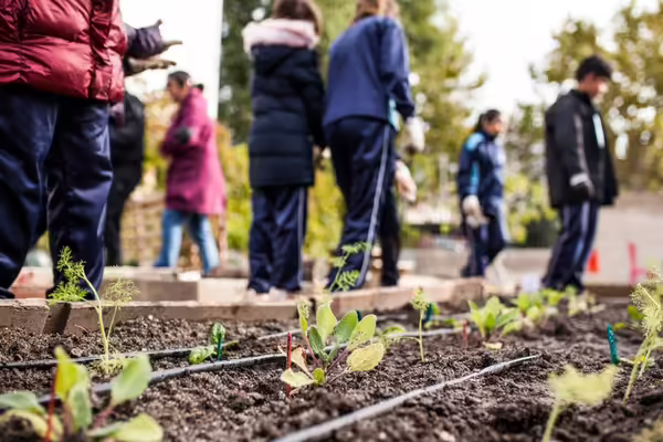 Community members in a garden with plants starting to grow 