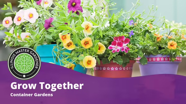 Grow Together, Container Gardens text overlaying a purple background wtih flowers in pots pictured