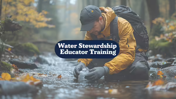 person in yellow jacket examines something in a stream