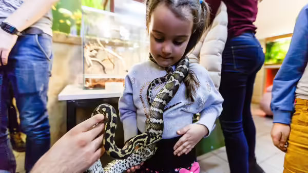 Young girl with a snake 