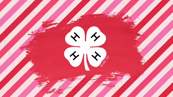 red and pink stripes, red paint brush stroke, and 4-H clover