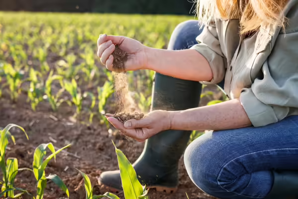 woman in field with soil in her hands