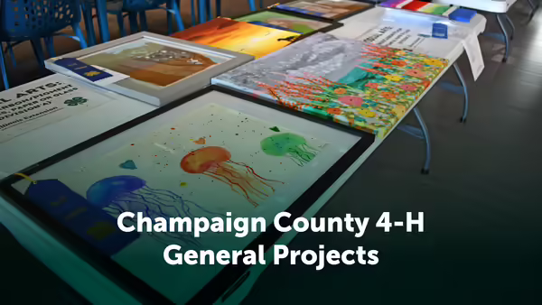 Champaign County 4-H General Projects text over table with artwork