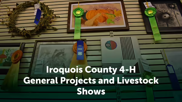 Iroquois County 4-H General Projects and Livestock Shows