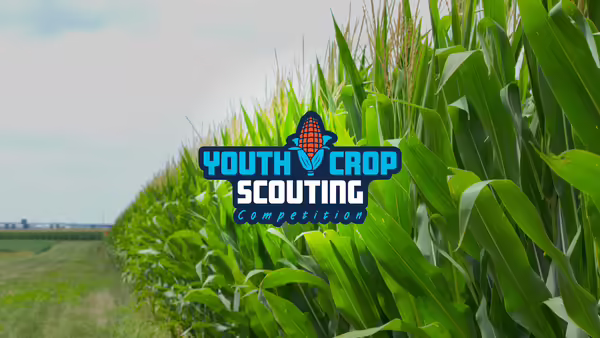 Lush green corn plants at a field edge with Youth Crop Scouting Competition text