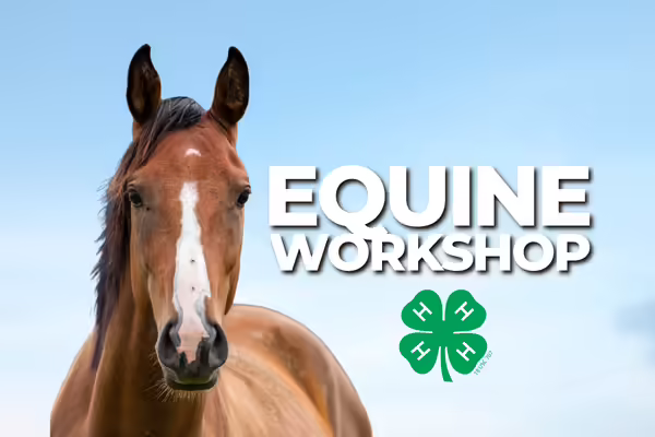 head and shoulders of a brown horse with a white blaze down the front of it's face, standing in front of a blue sky background. Text says Equine Workshop.