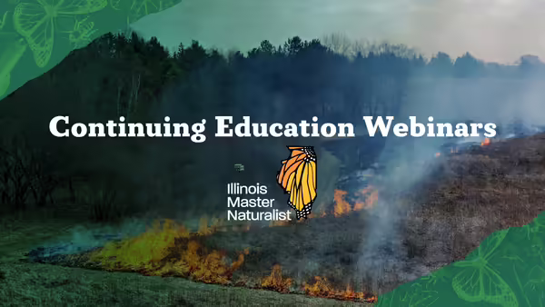 continuing education webinar