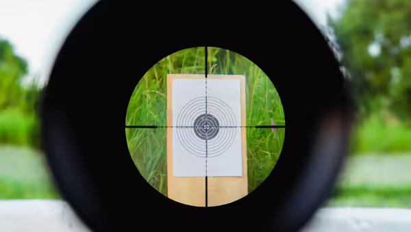A black and white target through a gun scope.