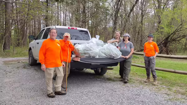 invasive species removal volunteers