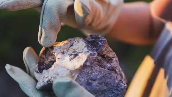 Close-up of gloved hands holding a large purple and white rock specimen outdoors in warm sunlight.