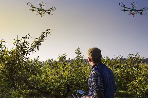 A man flies drones over shrubs. 