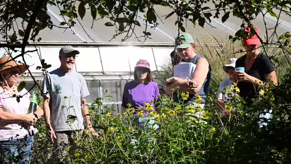 a group of people looking at flowers