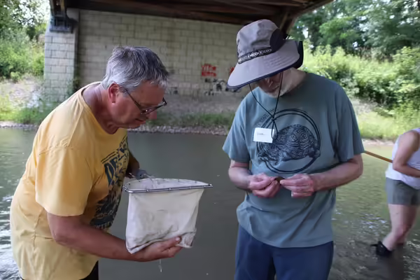 Master Naturalists standing in the river as they participate in Illinois RiverWatch training.