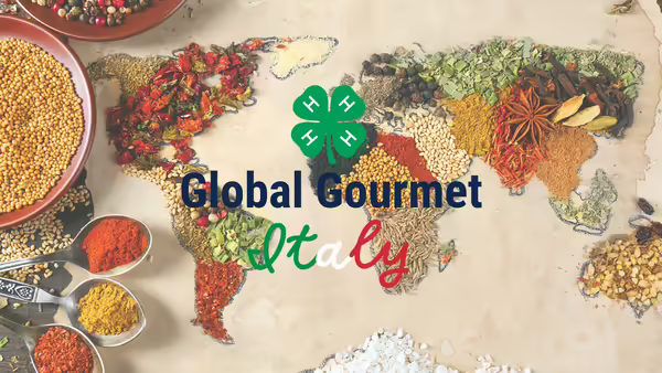 Many spices from all over the world shaped together to form the world map.