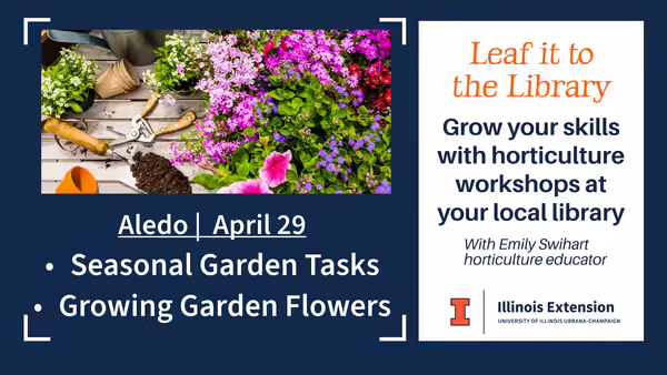 flowers for a garden with tools and soil