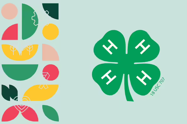 mint green with colorful shapes on side and 4-H clover logo on the other side